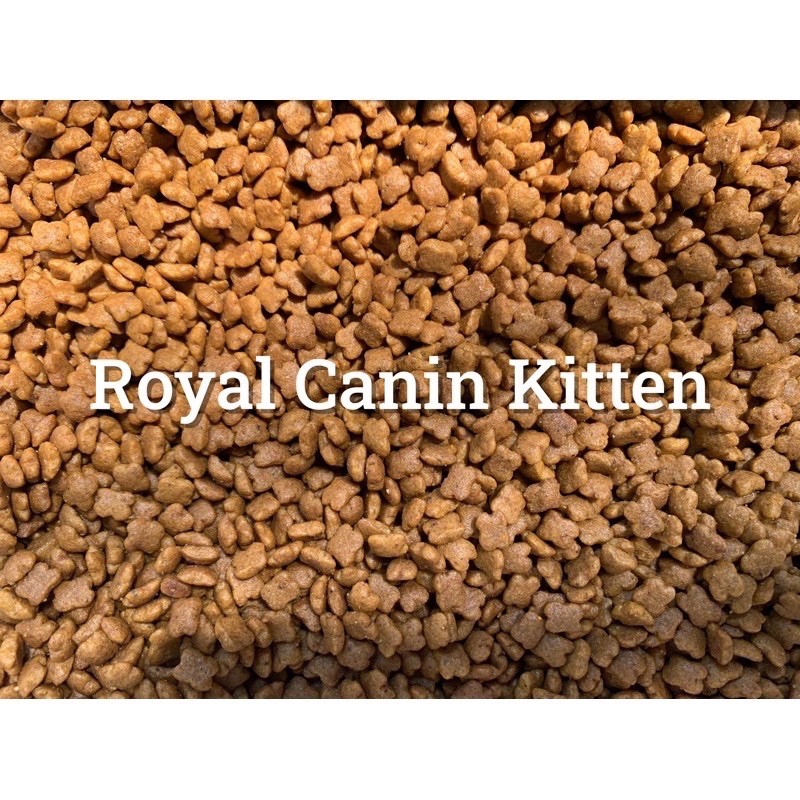 Hạt thức ăn cho mèo con | ROYAL CANIN Kitten 36 | 2kg