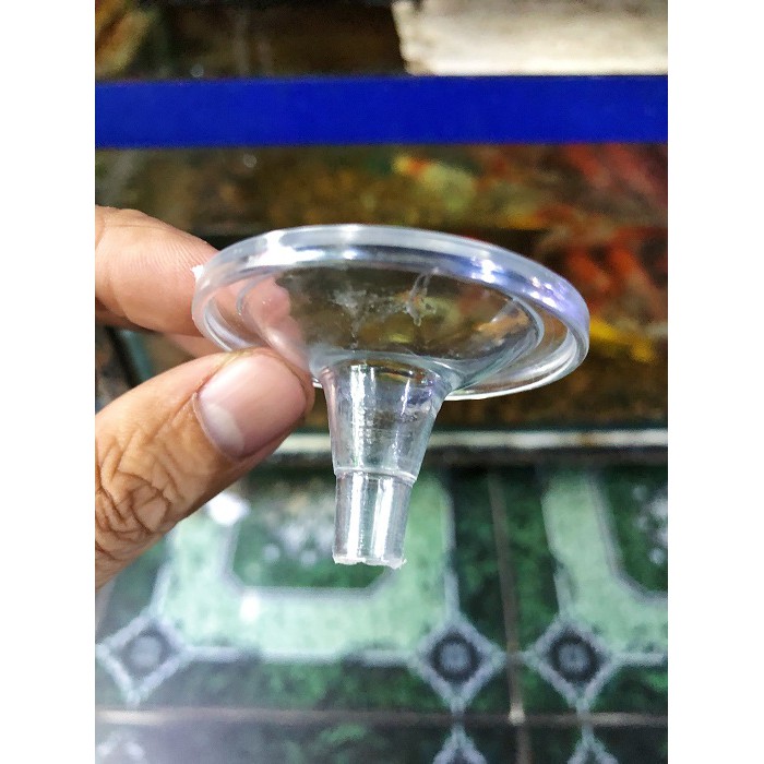 ĐẾ ĐỂ TRÁI CHÂU CHO HÒN NON BỘ ĐƯỜNG KÍNH 4CM