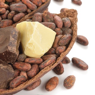 Bơ cacao - cocoa butter