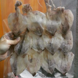 Mực cơm khô