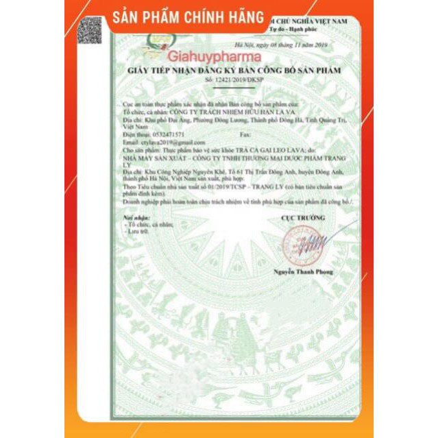 Trà cà gai leo Lava túi lọc (hộp 30 túi )