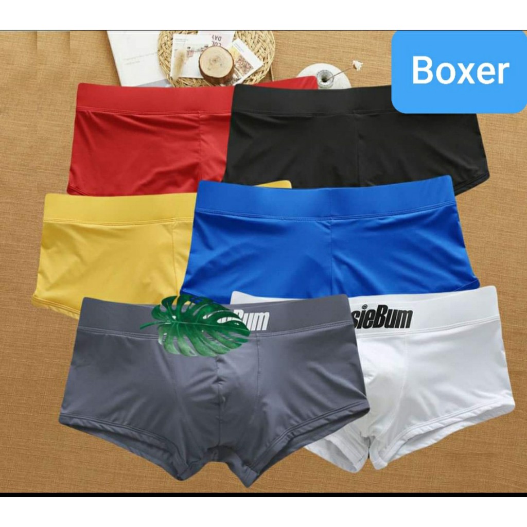 [Mẫu mới sale 50%] Quần lót sịp đùi và tam giác nam sexy lịch lãm Aussiebum 2020