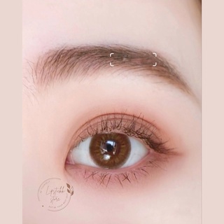 Phấn mắt Canmake Perfect Multy Eyes 05