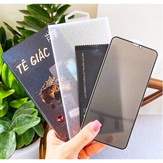 Kính chống nhìn trộm tê giác, kính cường lực đầy đủ mã từ iPhone 6P--&gt;Iphone12 mini/promax - Việt Linh Store