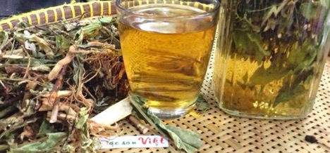 Cây bồ công anh phơi khô