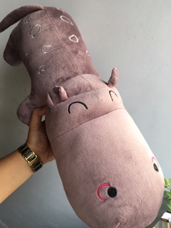 HÀ MÃ BÔNG MẮT HÍP