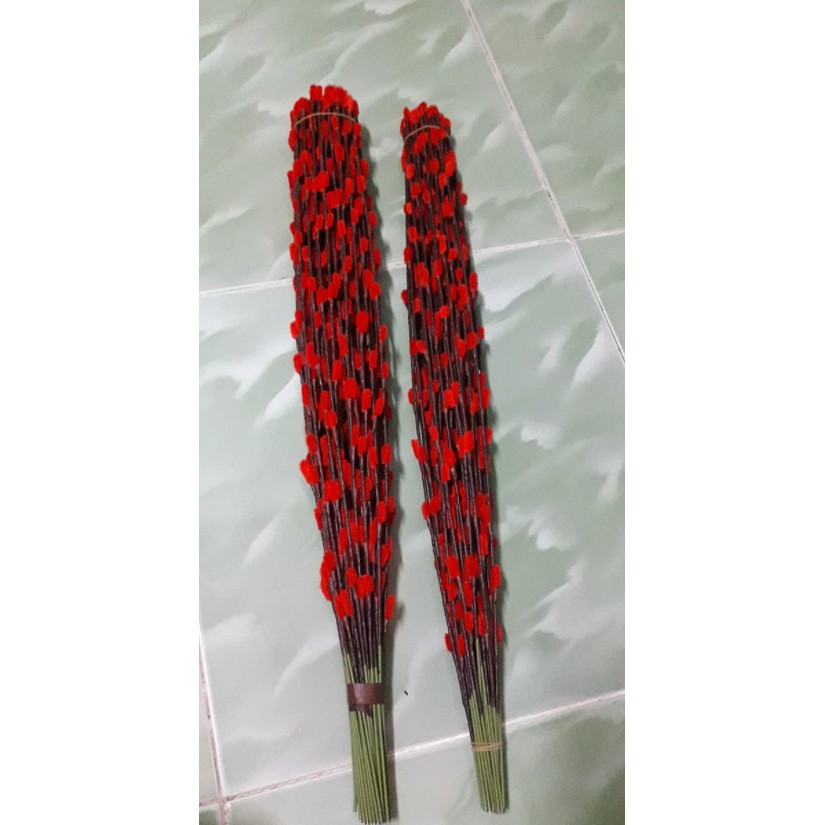Kẽm cành dài 60cm : 35k /1bó /20cành