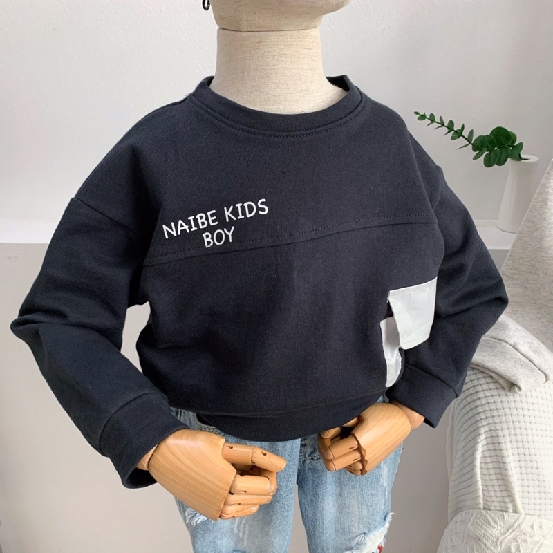 Áo thu đông dài tay nỉ da cá cho bé trai mặc đi học đi chơi