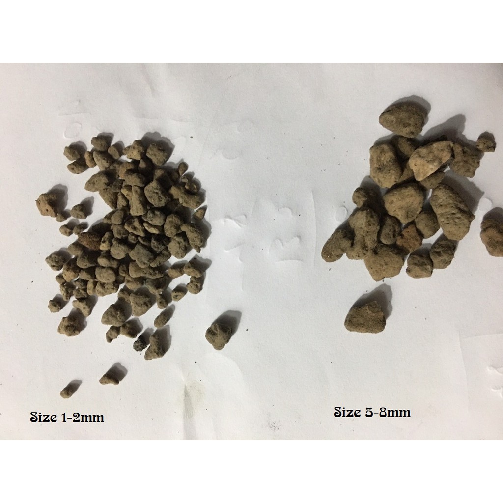 Đá Pumice (đá bọt núi lửa) (size 3-6mm ) 0.5kg trồng sen đá, xương rồng, ươm cây con - [ Sỉ Lẻ ]