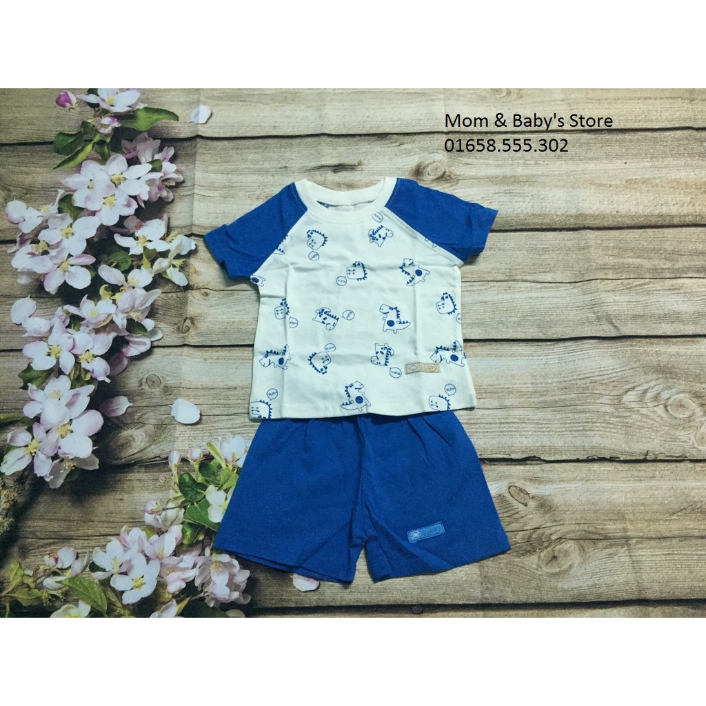 Bộ áo cộc tay Raglan quần đùi basic cho bé trai Lullaby