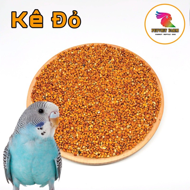 KÊ ĐỎ - GÓI 1KG | BigBuy360 - bigbuy360.vn