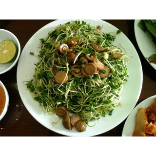 Hạt Giống Rau Mầm Củ Cải Trắng