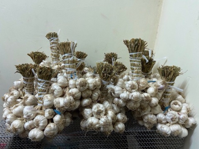 Tỏi sạch nhà trồng (1kg)- Tỏi Phan Rang _Ninh Thuận