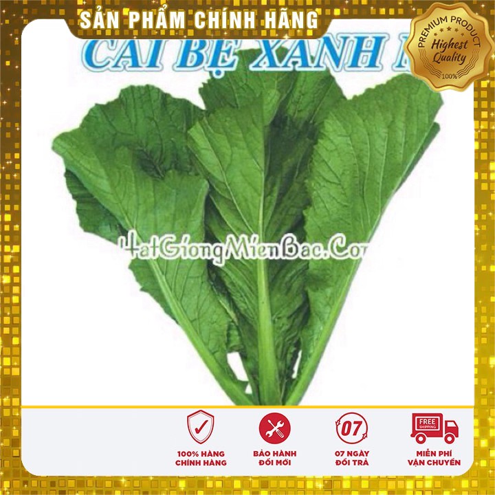 Hạt Giống Rau Cải Bẹ Xanh Mỡ(20 gr)