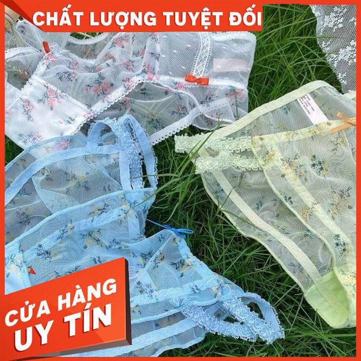 Quần Chip Sexy - Đồ Lót Nữ Gợi Cảm - Màu Sắc Tinh Tế - Freesize Dễ Mặc - Dễ Dàng Vệ Sinh - Siêu Gợi Cảm !!!!