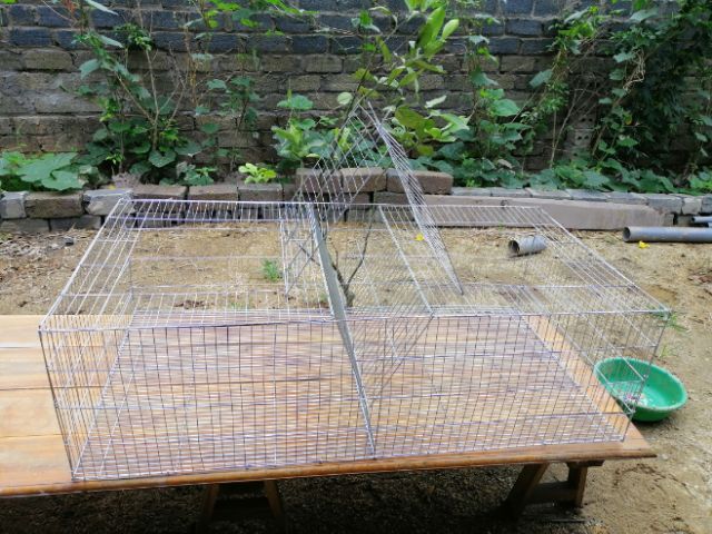 Lồng thỏ sinh sản 120x60x35cm