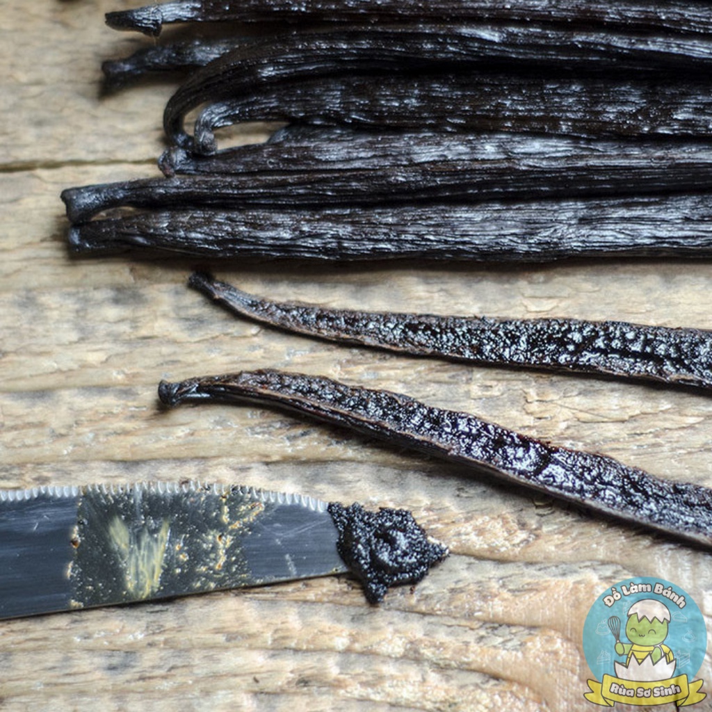 Set quả Vani Papua New Guinea