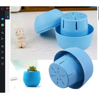 Chậu Trồng cây nhỏ gọn thông minh trử nước