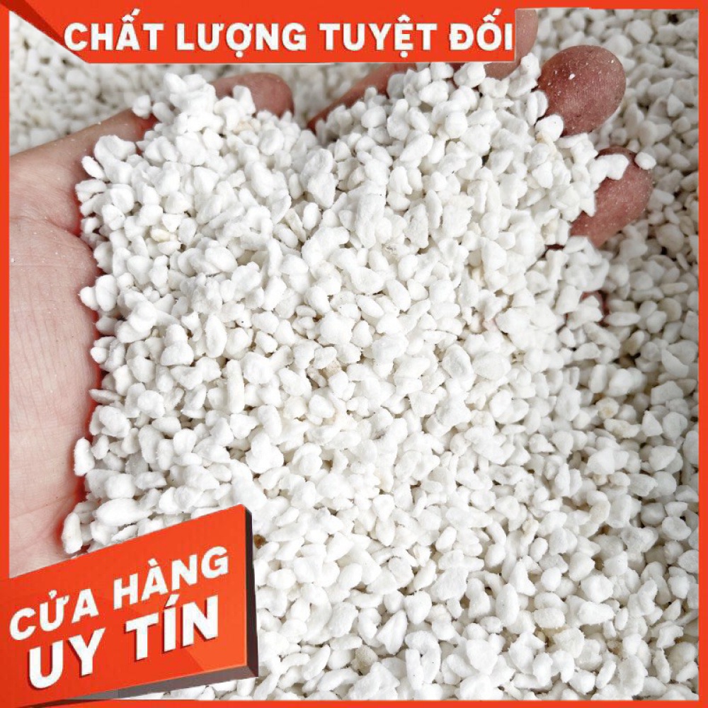 Đá perlite (đá trân châu) ❌ FREE SHIP ❌ giúp đất tơi xốp trồng sen đá, xương rồng