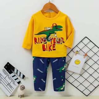 Combo bộ cotton đại 25-35kg