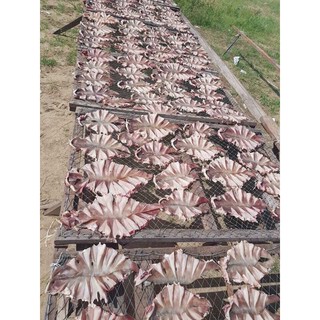 Cá đuối khô không tẩm 500g