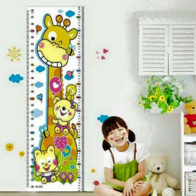 Decal thước đo chiều cao