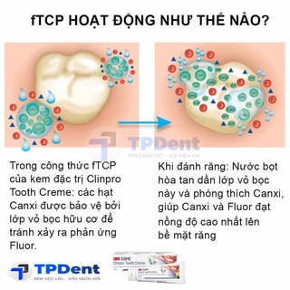 KEM ĐÁNH RĂNG 3M CLINPRO™ TOOTH CREME  _ TPDENT