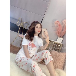 903. SÉT BỘ HÌNH THÚ SIÊU CUTE