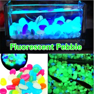 Cá Phát Sáng Trong Bóng Tối Đá Dạ Quang Đá Cho Bể Cá Trang Trí Bể Cá