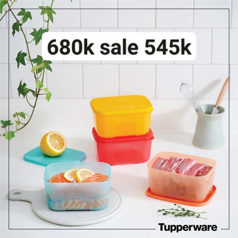 set hộp trữ đông 4 rainbow / 6 / fit set 7 / 8 hộp tách đông 16 tupperware | BigBuy360 - bigbuy360.vn