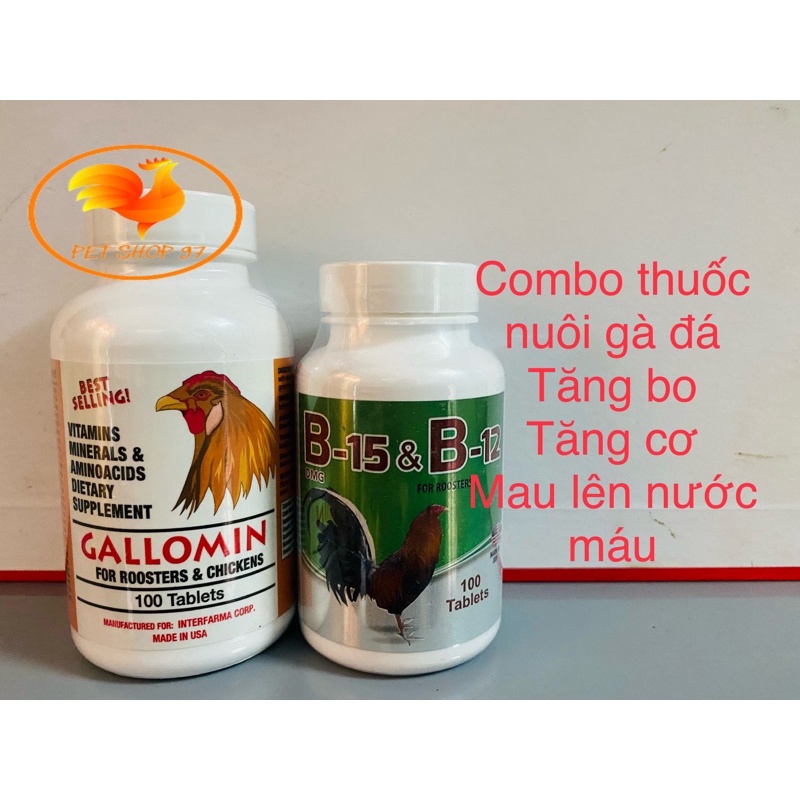 COMBO GALOMIN VÀ B15 B12