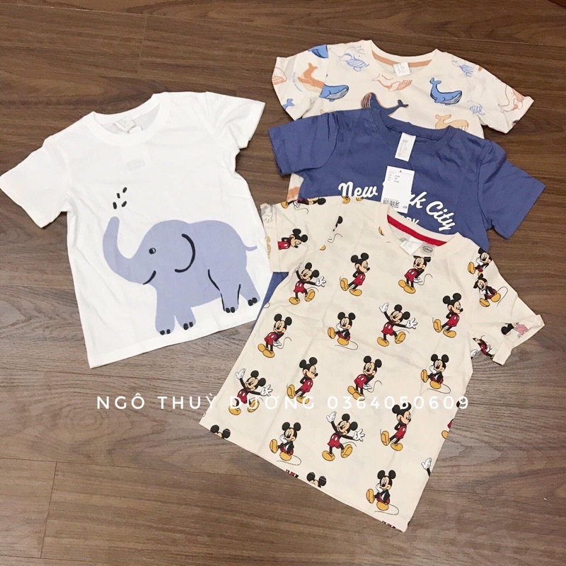 Áo phông HM bé trai 1-10y