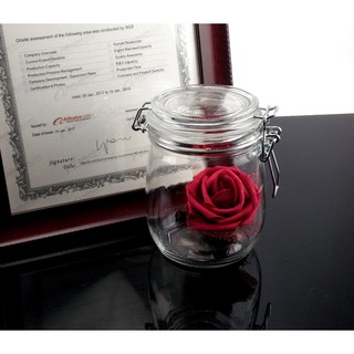 HŨ, LỌ THỦY TINH NẮP CÀI 750ML ĐỰNG SẤU NGÂM, TRÀ ĐÀO, NGŨ CỐC (HŨ QUAI KẸP)