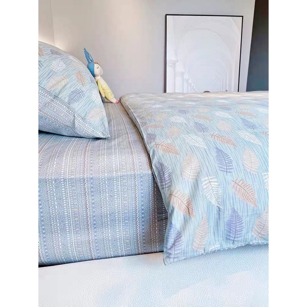 Set chăn ga gối cotton living- mẫu lông công sắc màu