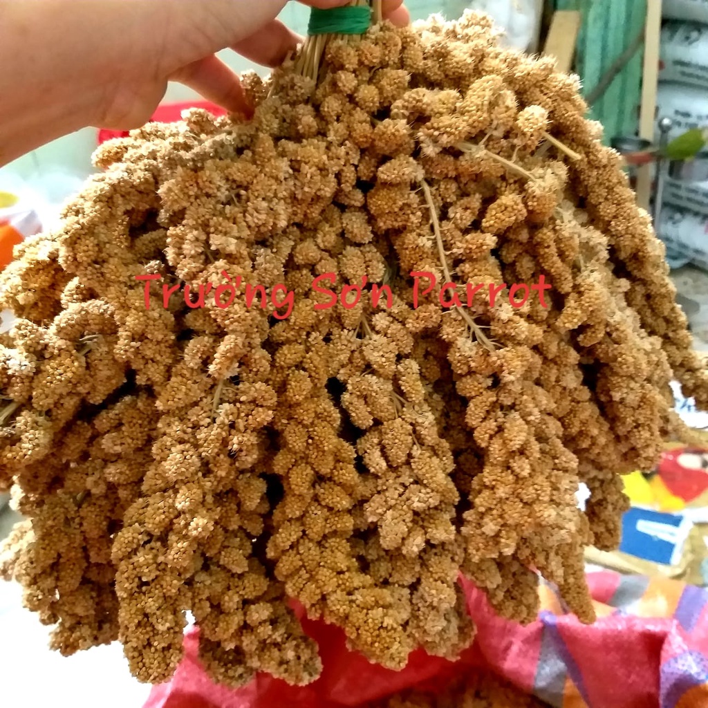 Kê chùm cho vẹt, chuột gói 200g