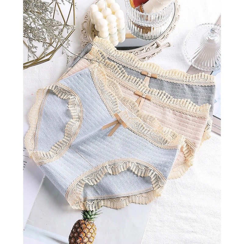 Quần Cotton Phối Ren Cao Cấp 257