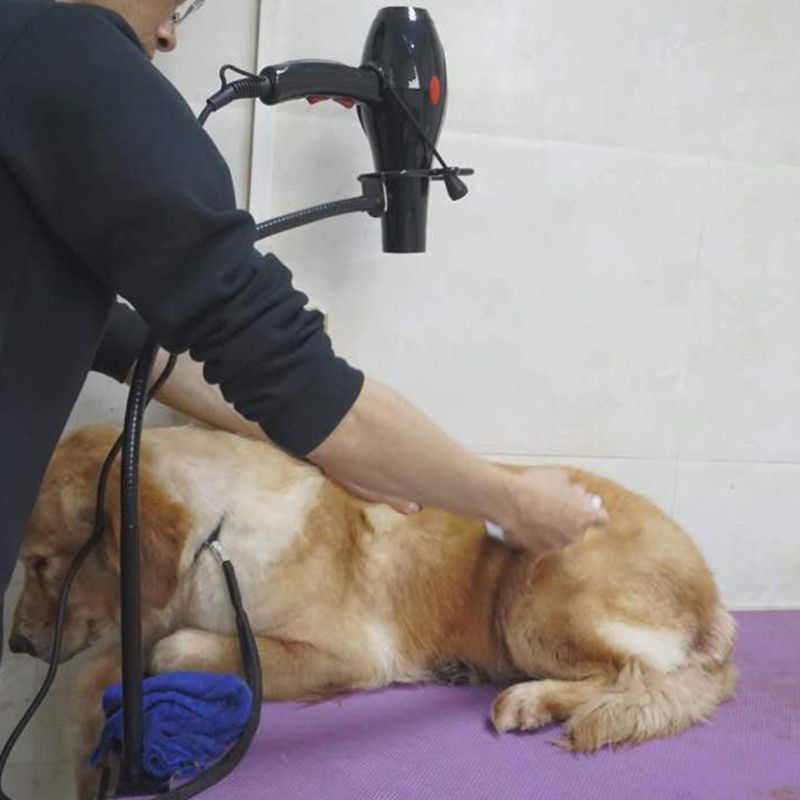 Khung Kẹp Cố Định Máy Sấy Đa Năng Cho Thú Cưng