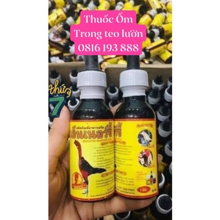 Ốm trong tụt lực cho gà chọi
