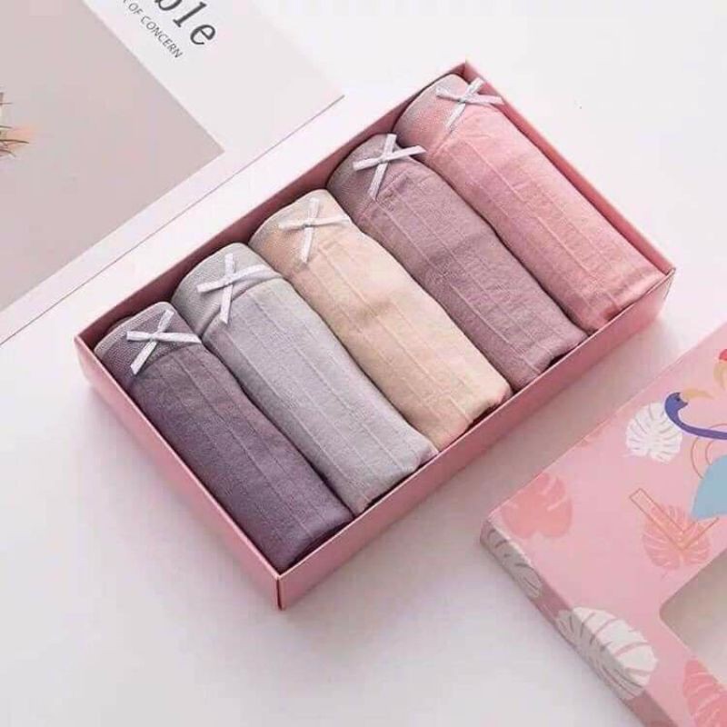 Quần lót nữ thiên nga ( hộp 5 chiếc)