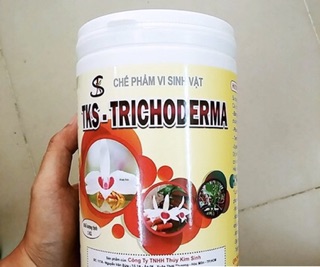 Nấm Đối Kháng dạng bột TRICHODERMA loại tốt