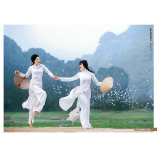 Mùa Nắng Phai