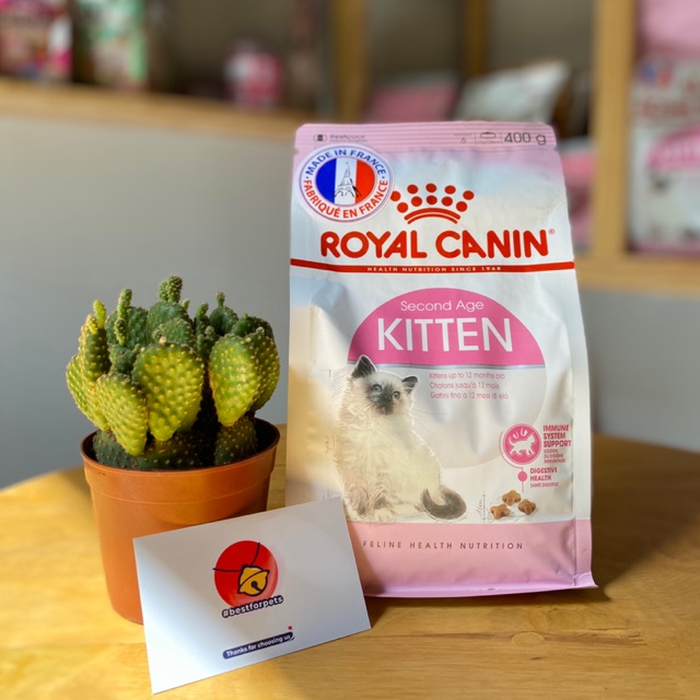 Thức ăn hạt cho mèo Royal Canin Kitten - Túi 400gr chính hãng