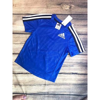 Áo phông Adidas