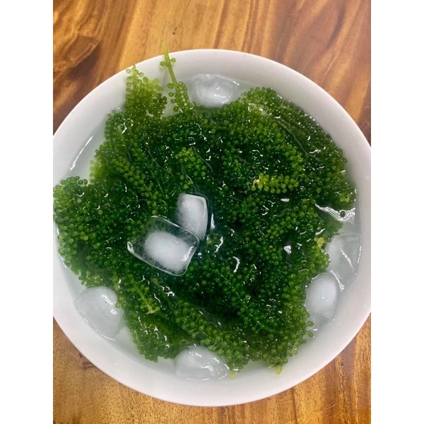 RONG NHO TÁCH NƯỚC 100g - Rong nho tách nước Khánh Hoà 100g nở ra 300g