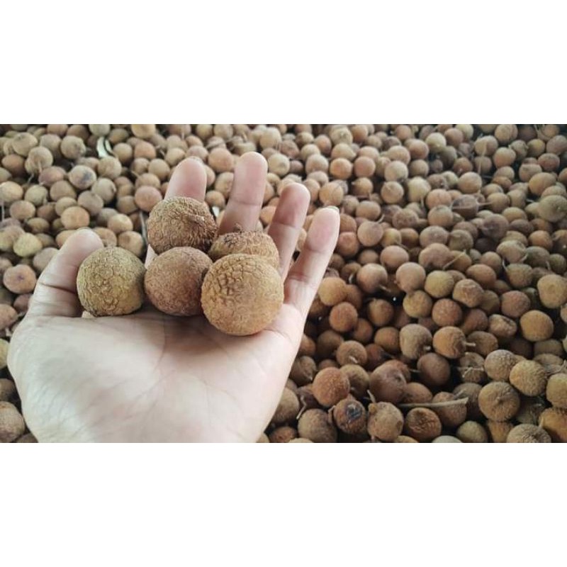 1kg vải sấy khô chính gốc bắc giang | BigBuy360 - bigbuy360.vn