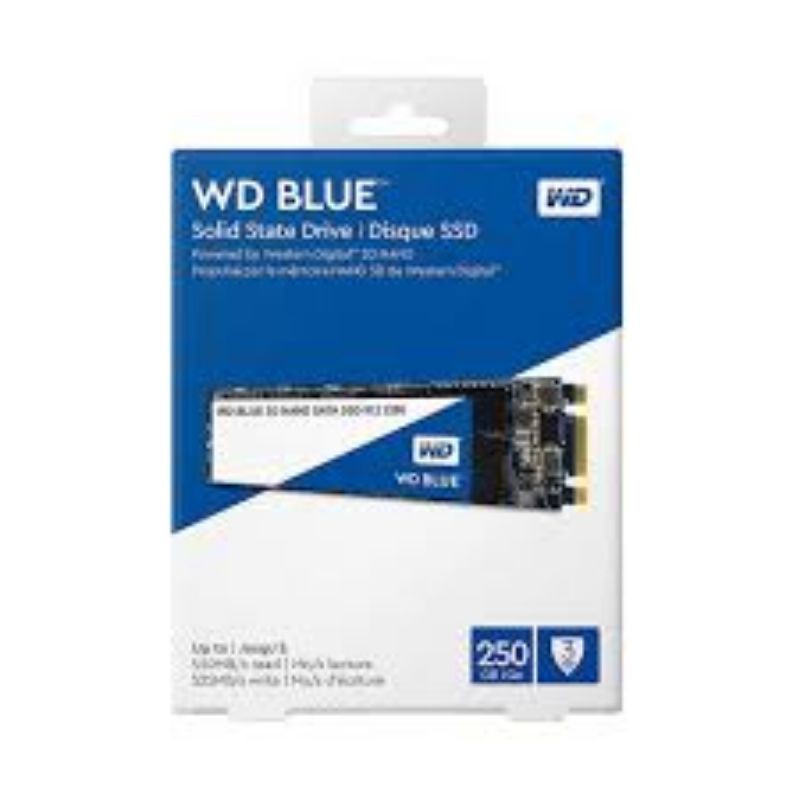 ổ cứng western digital blue nvme 256GB (hàng nhập khẩu Malaysia)