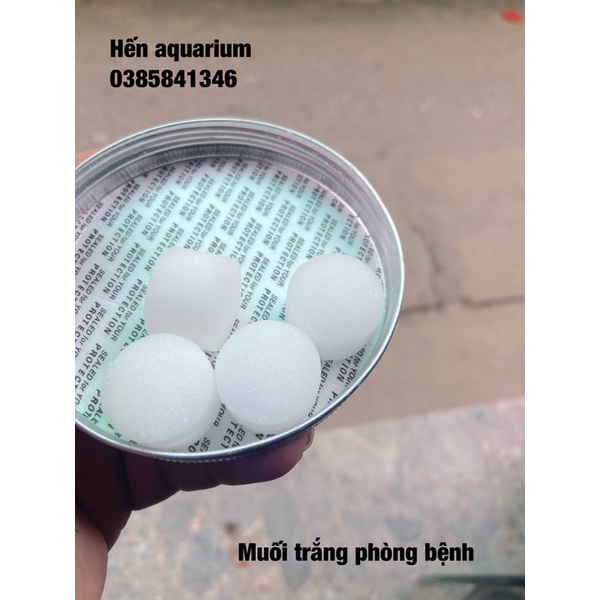 Muối nén 4 màu trị bệnh cho cá