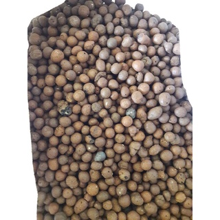 Viên Đất Nung