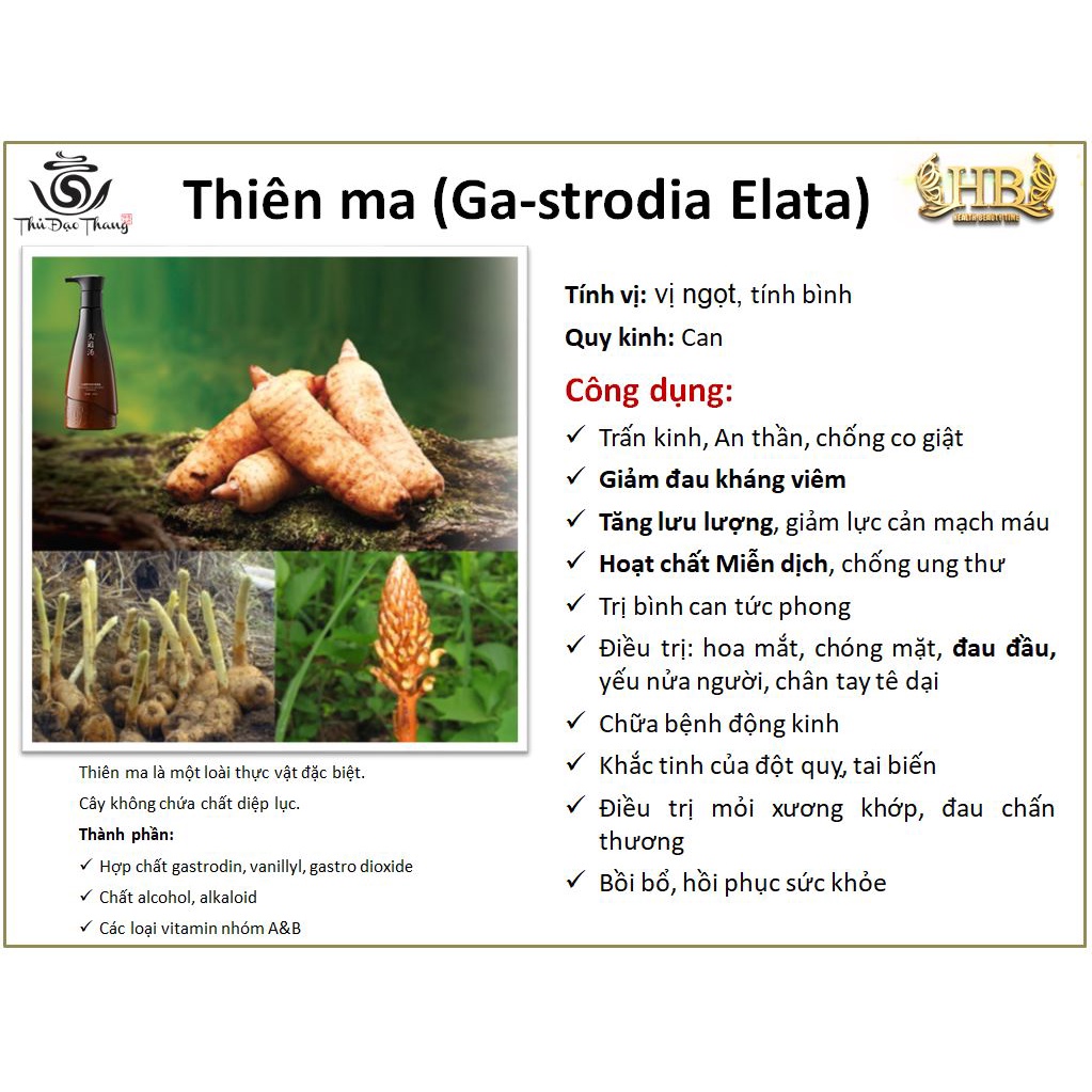 Dầu gội thảo dược Thủ Đạo Thang 300ML