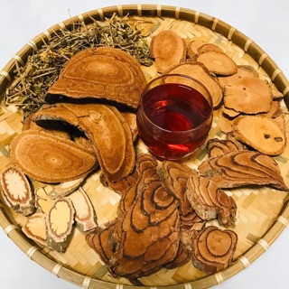 Cỏ máu tâm an quảng bình